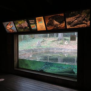 Alligator/Snapping Turtle Exhibit