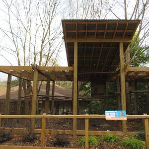 Eurasian Eagle-owl Exhibit
