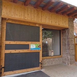 Amur Leopard Den Viewing