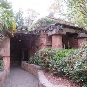 Orangutan Viewing Shelter