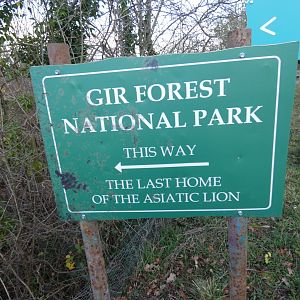 Gir Forest signage in Lion area