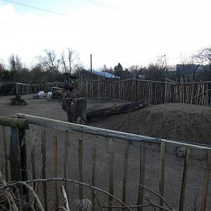 Goat enclosure
