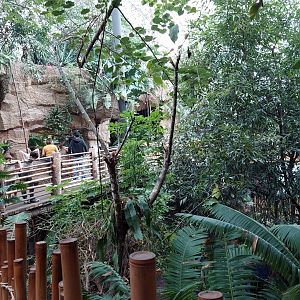 View of Monkey Island