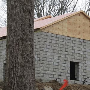 Beardsley Zoo Andean Bear Exhibit Construction