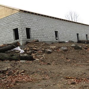 Beardsley Zoo Andean Bear Exhibit Construction