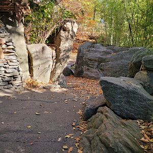 Bronx - Snow Leopard exhibit, path to/from right end of Snow Leopard exhibits
