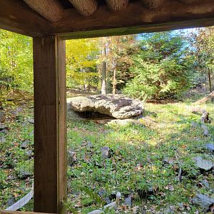 Bronx - Snow Leopard exhibit, 1 of 3