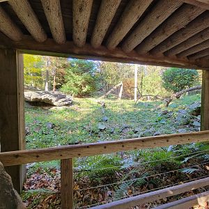 Bronx - Snow Leopard exhibit, 1 of 3