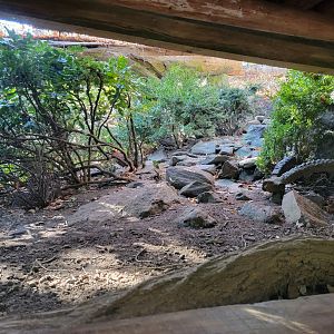Bronx - Tragopan exhibit