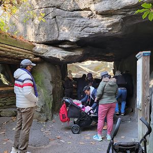 Bronx - Tragopan on left, Snow Leopard exhibit #2 center
