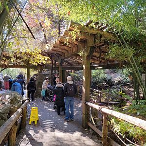 Bronx - Snow Leopard exhibit #3 on right