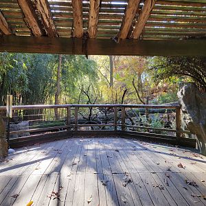 Bronx - Red Panda exhibit