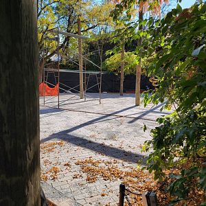 Bronx - Construction where camel rides were, early Dec 2021