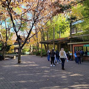 Bronx - Jungle World entrance, monorail in distance