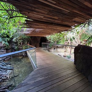 Bronx - JW - Asian Small-Clawed Otter, Asian Brown Tortoise (both sides), Matschie's Tree Kangaroo (right)