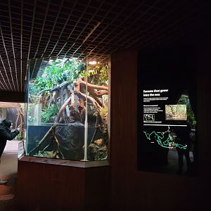 Bronx - JW - First herp section