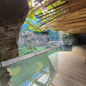 Bronx - JW - Ebony Langur, Philippine Duck