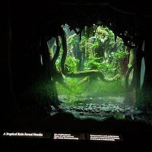 Bronx - JW - Rain simulation