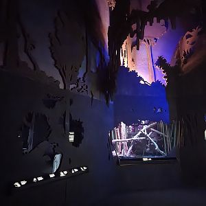 Bronx - JW - First Nocturnal section