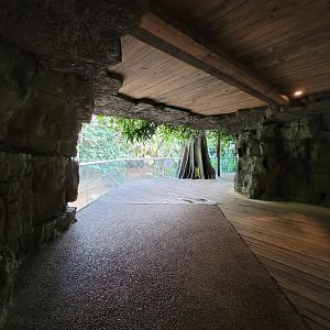 Bronx - JW - Malayan Tapir viewing