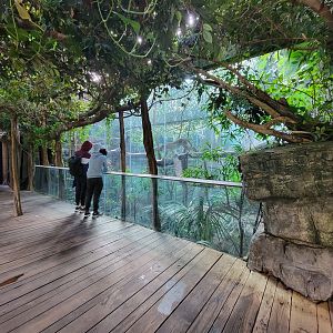 Bronx - JW - Leopard