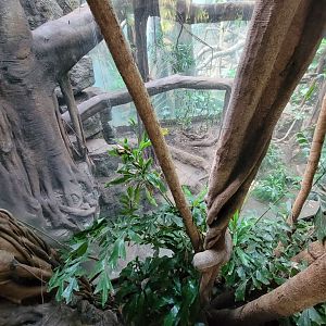 Bronx - JW - Floor of Leopard exhibit; it's really hard to photograph this one