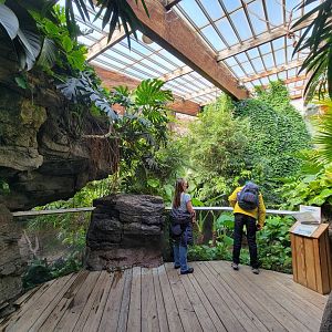 Bronx - JW - First Gharial viewing platform