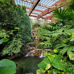 Bronx - JW - Gharials