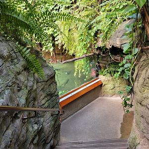 Bronx - JW - Viewing window