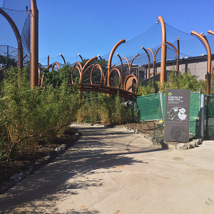 Entrance to South East Asia Precinct/Overhead Tiger Tunnels