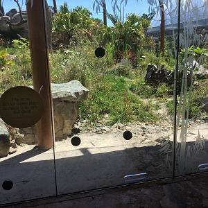 New Sumatran Tiger Exhibit (Medium)