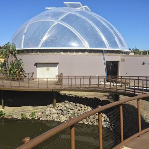 Tropical Dome - Opening June 2022