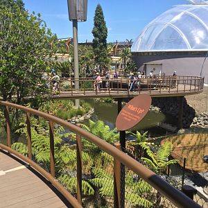 South East Asian Precinct - Boardwalk Now Open