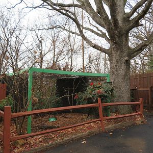 Laughingthrush Aviary & Side Path