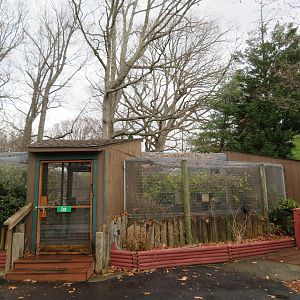 Walkthrough Aviary