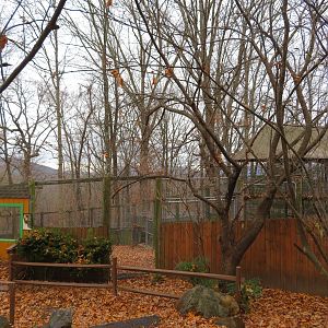 Red Wolf Viewing Area