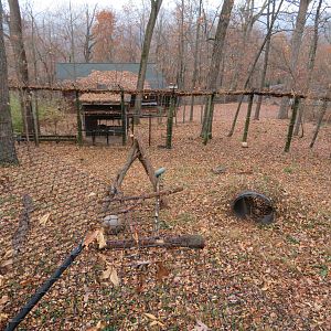 American Black Bear Exhibit (Left Half)