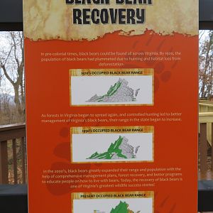 Black Bear Recovery Signage