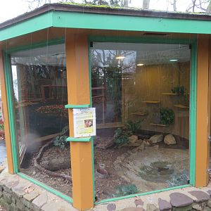 Wood Turtle Exhibit