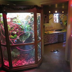 Reptile House (6 species)