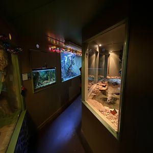 Reptile House Hallway