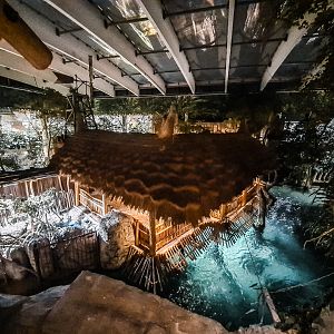 Tropen-Aquarium after dark