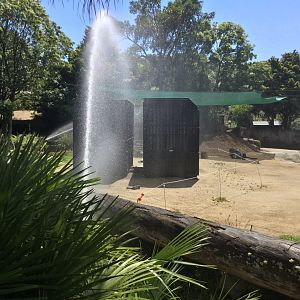 Elephant Export Crates