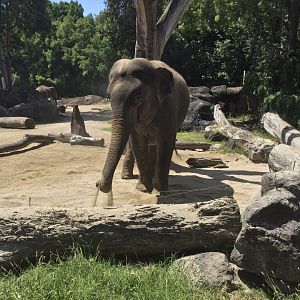 Anjalee Picking Up Sand