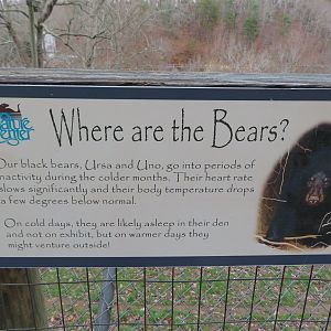 Winter Bear Activity Signage