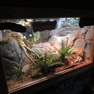 Copperhead Exhibit