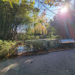 Bronx - Camels (behind pond)