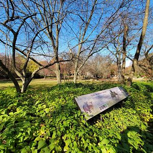 Bronx - Africa - Nyala yard from left end