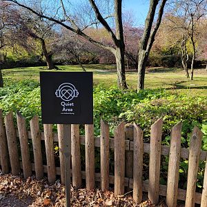 Bronx - Africa - Nyala yard "Quiet Area", next to a bunch of benches and running kids...