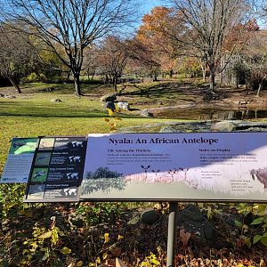 Bronx - Africa - Nyala yard signage